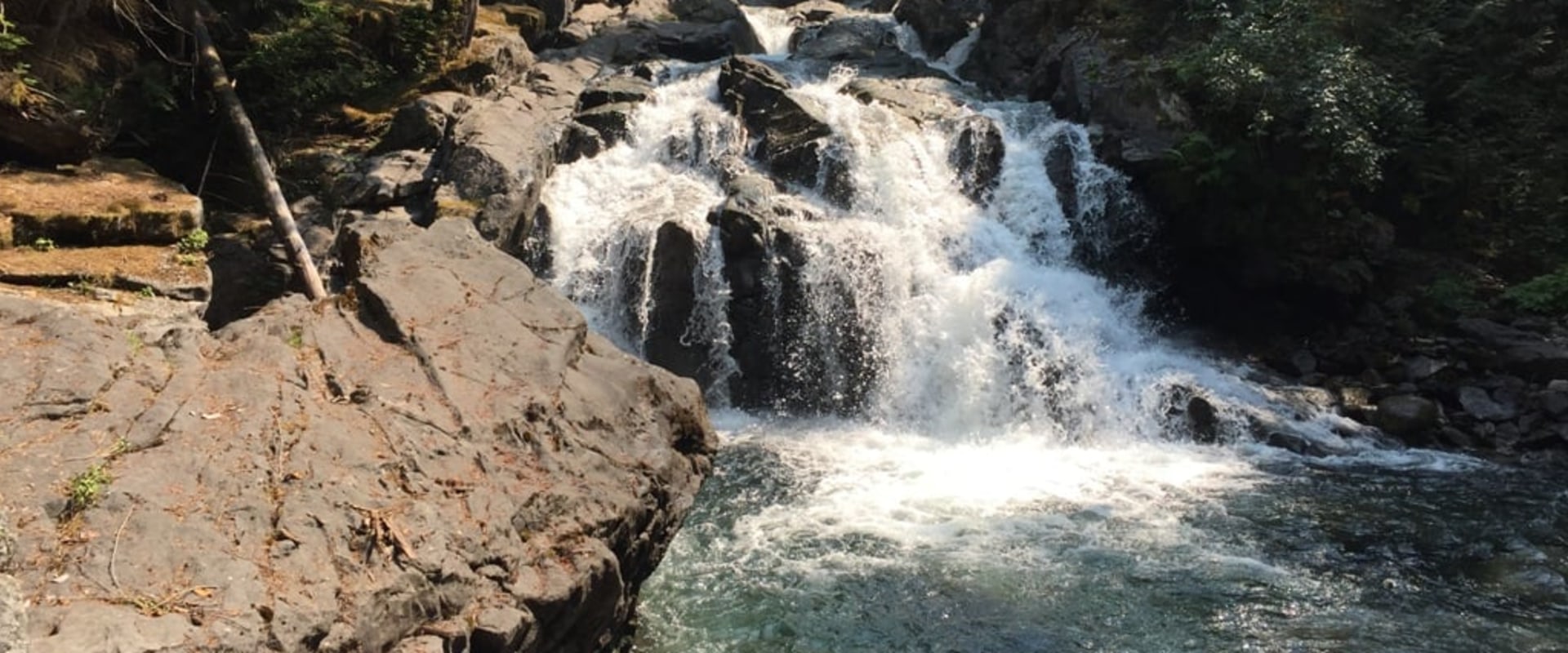 Uncovering the Hidden Gems: A Foodie's Guide to Western Washington