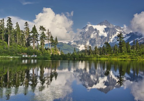 Discovering the Culinary Wonders of Western Washington