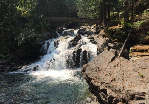 Uncovering the Hidden Gems: A Foodie's Guide to Western Washington